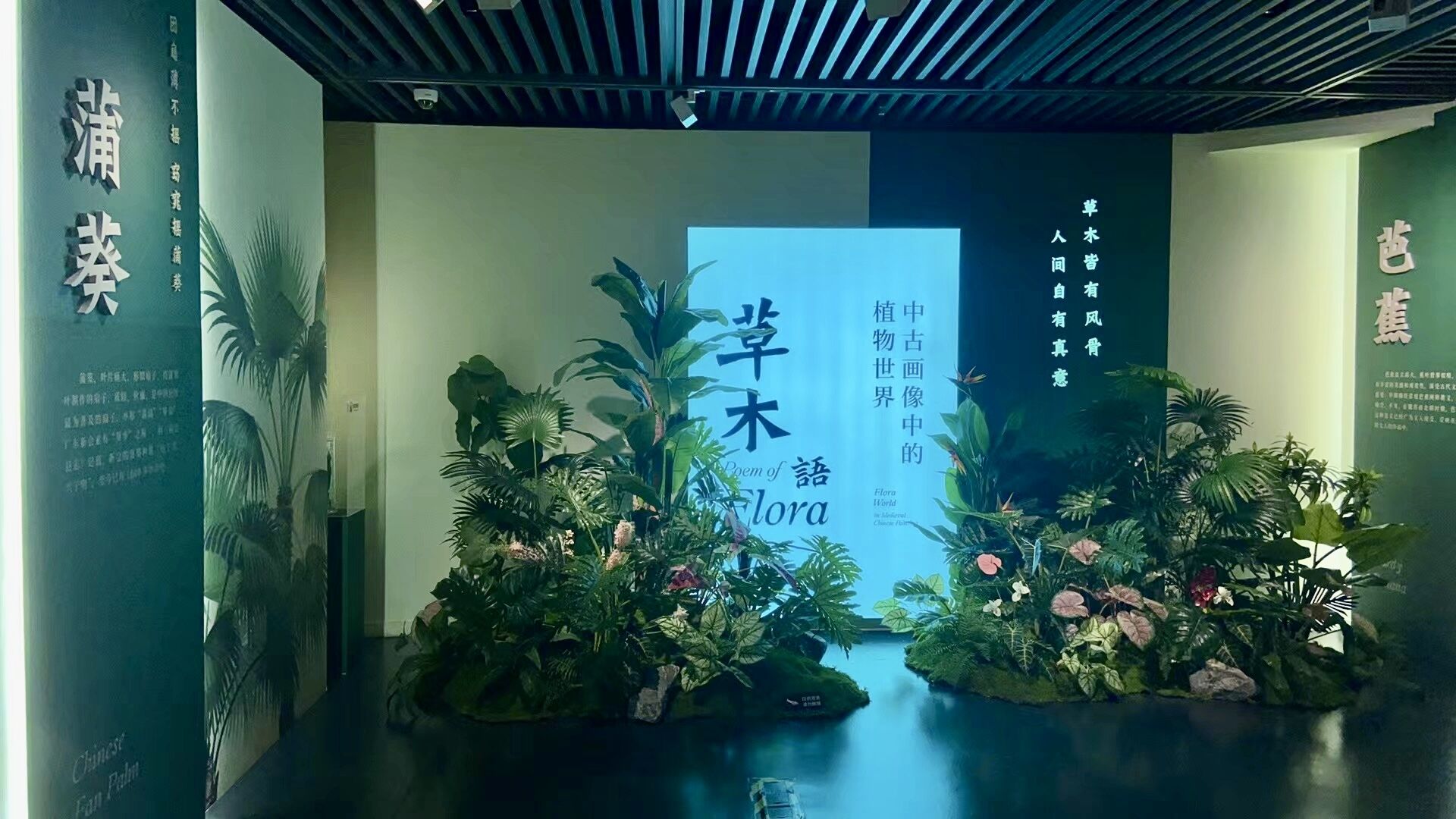资讯详情